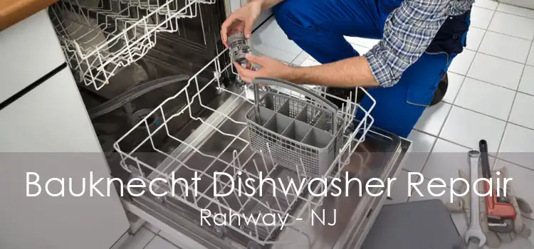 Bauknecht Dishwasher Repair Rahway - NJ