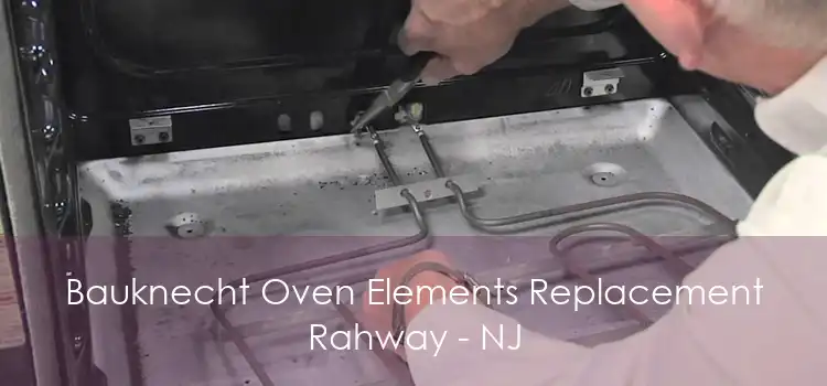 Bauknecht Oven Elements Replacement Rahway - NJ