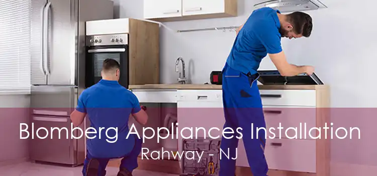 Blomberg Appliances Installation Rahway - NJ