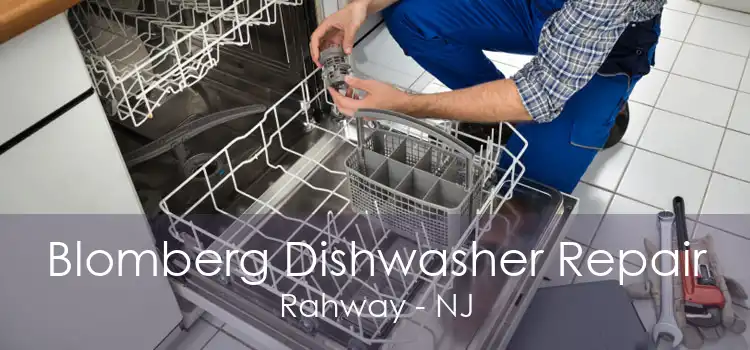 Blomberg Dishwasher Repair Rahway - NJ