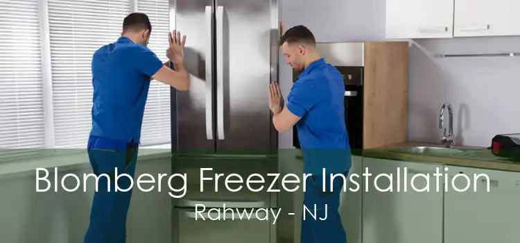 Blomberg Freezer Installation Rahway - NJ