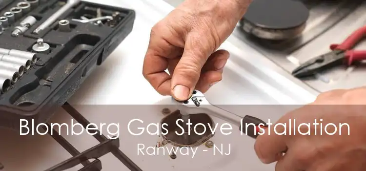 Blomberg Gas Stove Installation Rahway - NJ