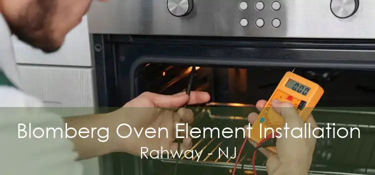 Blomberg Oven Element Installation Rahway - NJ