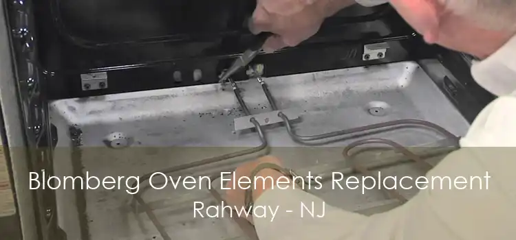 Blomberg Oven Elements Replacement Rahway - NJ