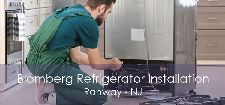 Blomberg Refrigerator Installation Rahway - NJ