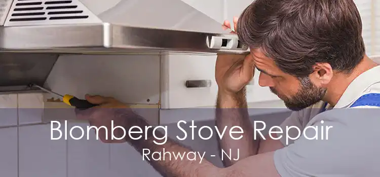 Blomberg Stove Repair Rahway - NJ