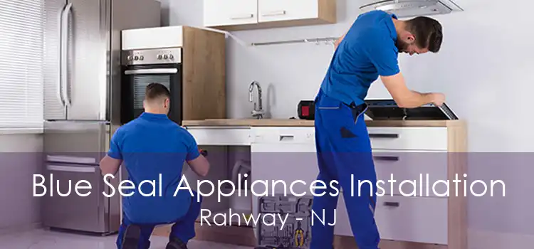 Blue Seal Appliances Installation Rahway - NJ