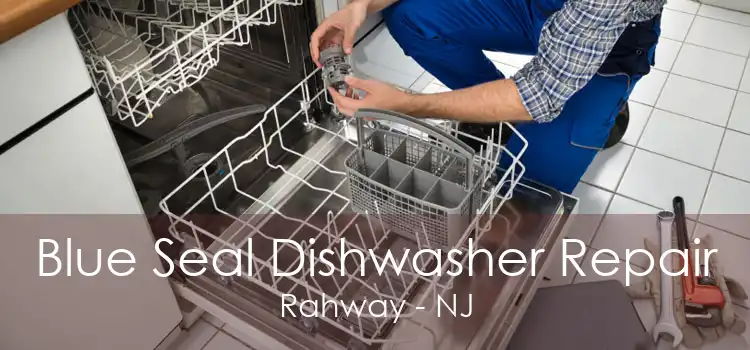 Blue Seal Dishwasher Repair Rahway - NJ