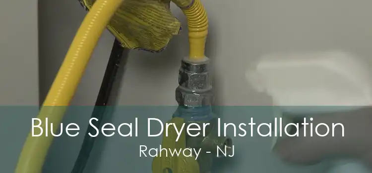 Blue Seal Dryer Installation Rahway - NJ