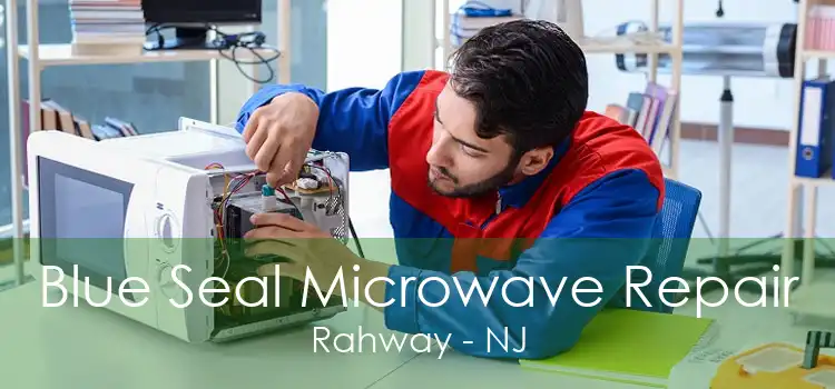 Blue Seal Microwave Repair Rahway - NJ