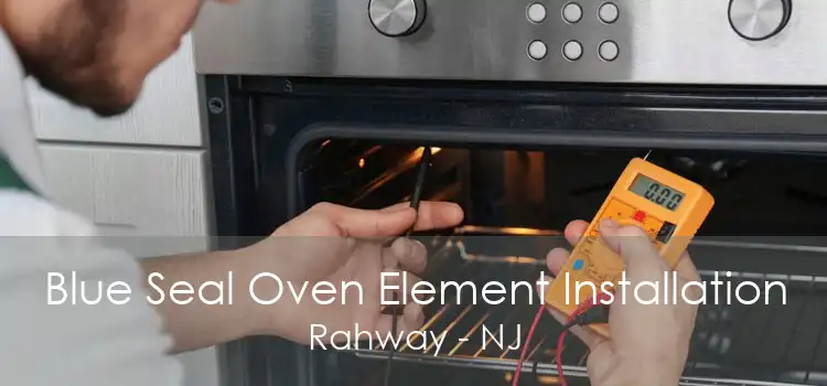 Blue Seal Oven Element Installation Rahway - NJ