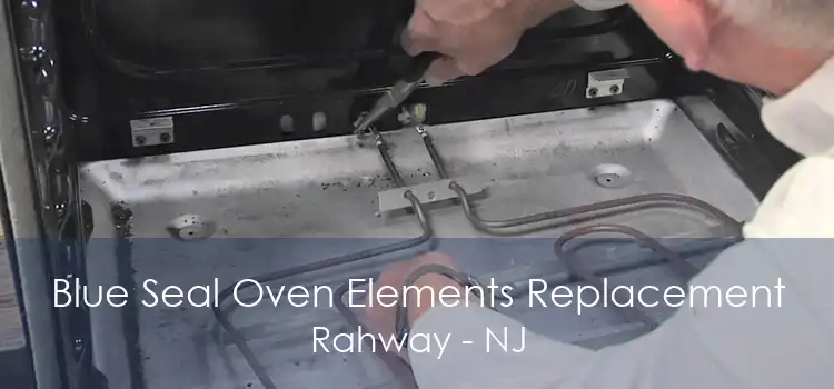 Blue Seal Oven Elements Replacement Rahway - NJ