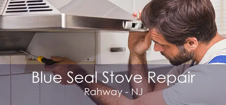 Blue Seal Stove Repair Rahway - NJ