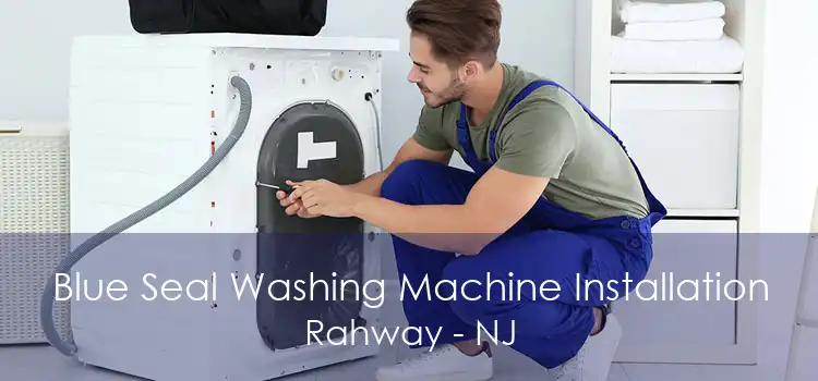 Blue Seal Washing Machine Installation Rahway - NJ