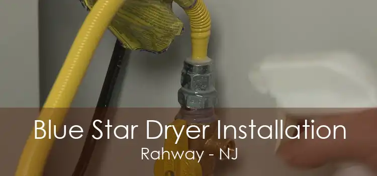 Blue Star Dryer Installation Rahway - NJ