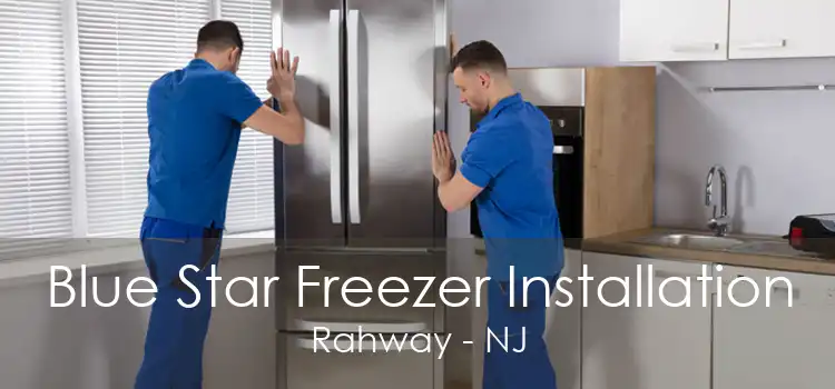 Blue Star Freezer Installation Rahway - NJ