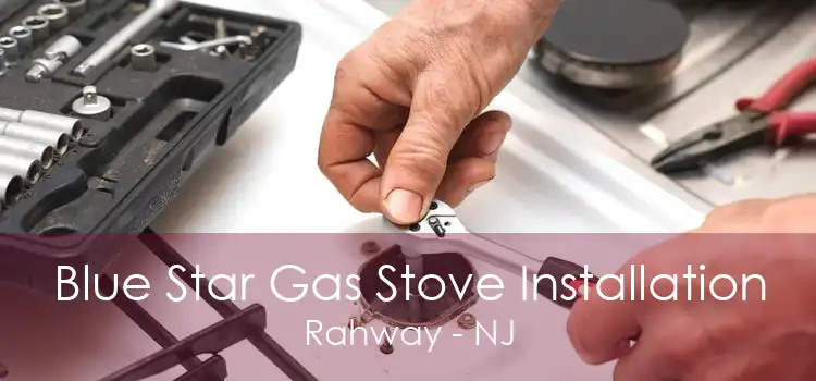 Blue Star Gas Stove Installation Rahway - NJ