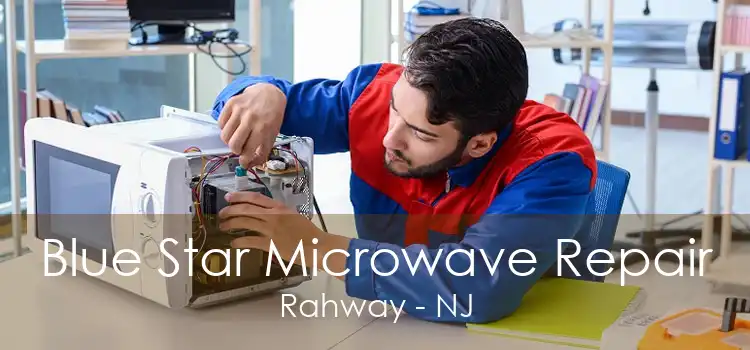 Blue Star Microwave Repair Rahway - NJ