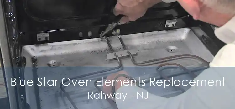 Blue Star Oven Elements Replacement Rahway - NJ