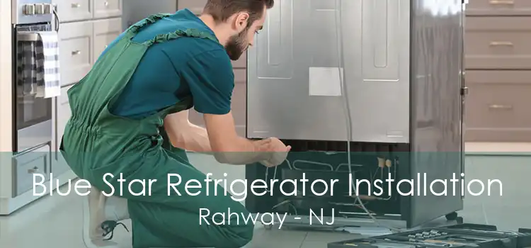 Blue Star Refrigerator Installation Rahway - NJ