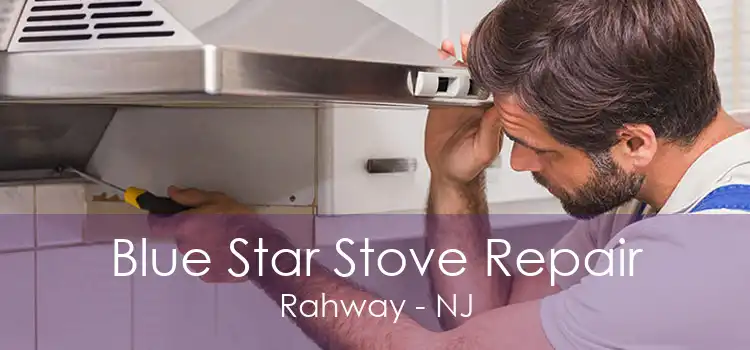 Blue Star Stove Repair Rahway - NJ