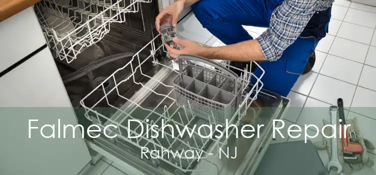 Falmec Dishwasher Repair Rahway - NJ