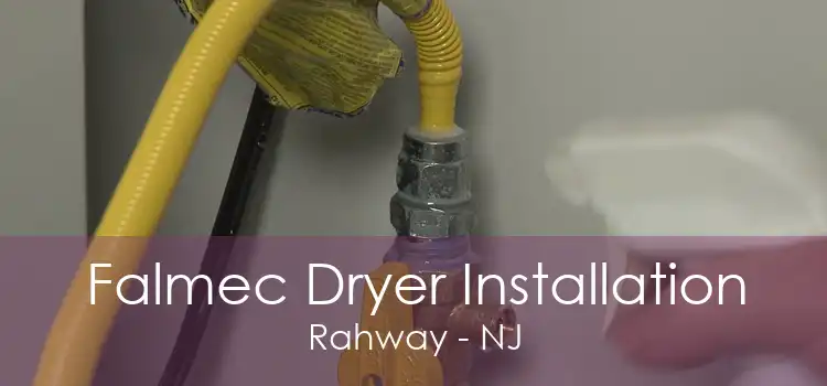 Falmec Dryer Installation Rahway - NJ