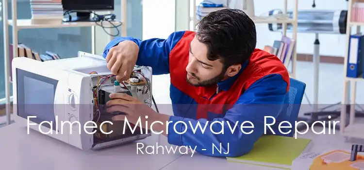 Falmec Microwave Repair Rahway - NJ