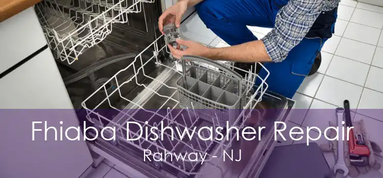 Fhiaba Dishwasher Repair Rahway - NJ