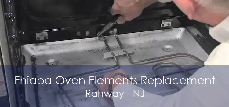 Fhiaba Oven Elements Replacement Rahway - NJ