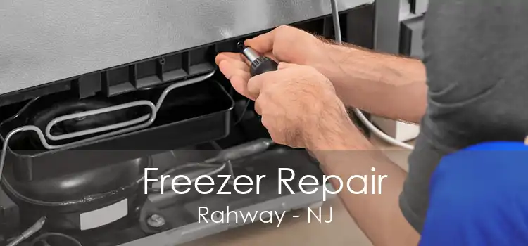 Freezer Repair Rahway - NJ