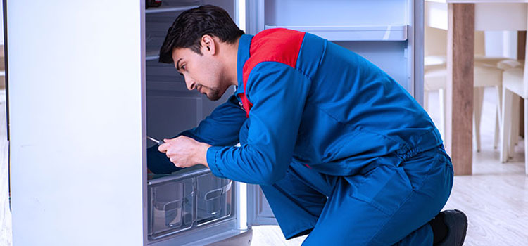 Freezer Repair Services in Rahway, New Jersey