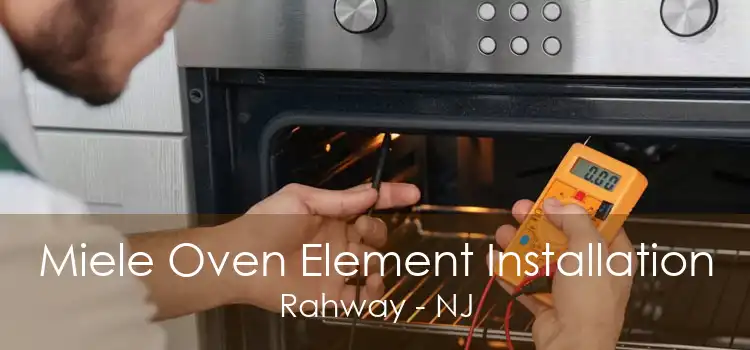 Miele Oven Element Installation Rahway - NJ