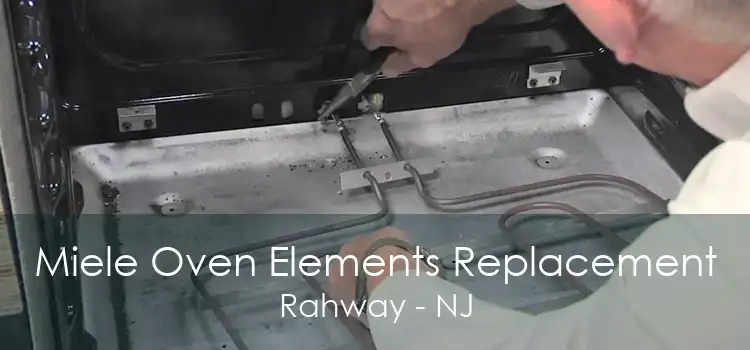 Miele Oven Elements Replacement Rahway - NJ