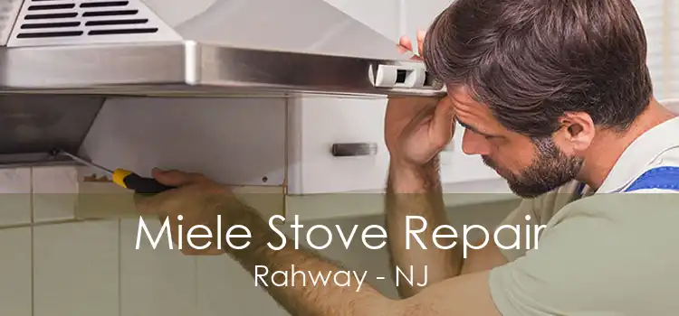 Miele Stove Repair Rahway - NJ