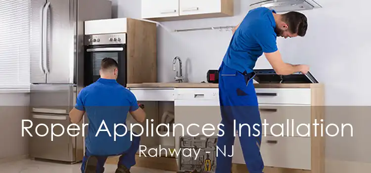 Roper Appliances Installation Rahway - NJ