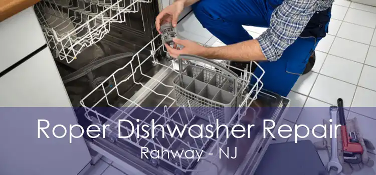 Roper Dishwasher Repair Rahway - NJ