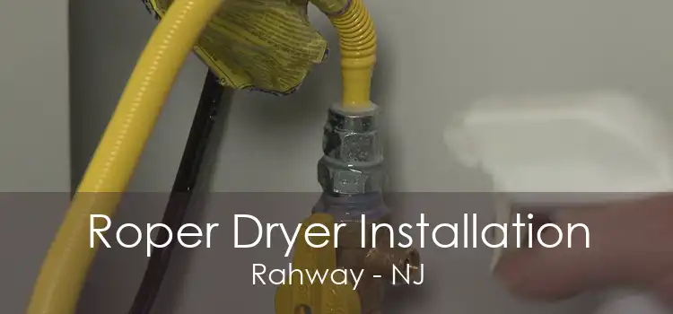 Roper Dryer Installation Rahway - NJ