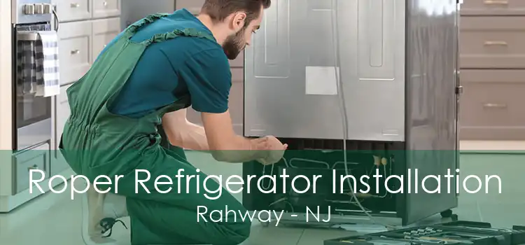 Roper Refrigerator Installation Rahway - NJ