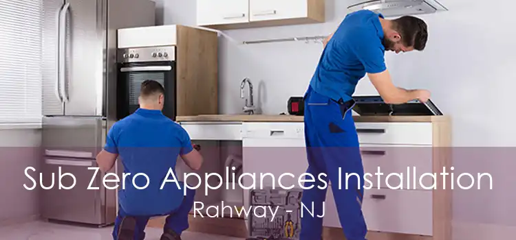 Sub Zero Appliances Installation Rahway - NJ