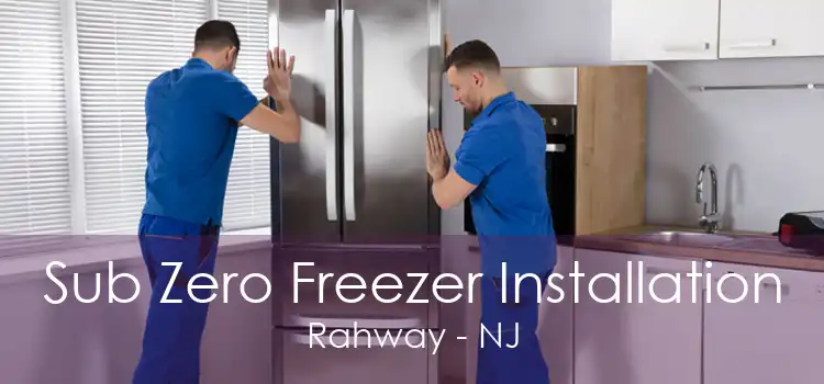 Sub Zero Freezer Installation Rahway - NJ