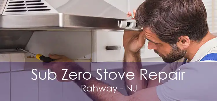 Sub Zero Stove Repair Rahway - NJ